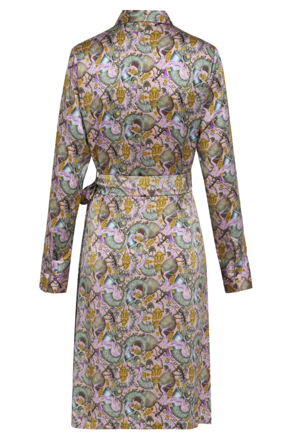 Neoteric Printed Shirt Dress